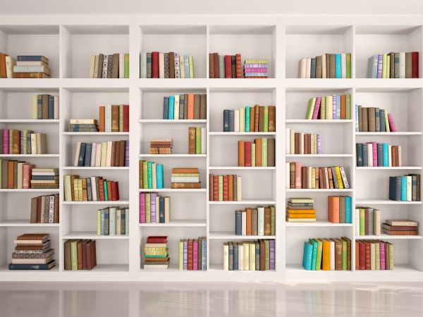 Bookshelf Assembly in Lehi